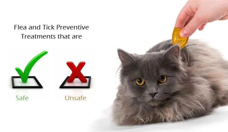 Flea-and-Tick-Preventive-Treatments-that-are-Safe-or-Unsafe-for-Cats-compressor