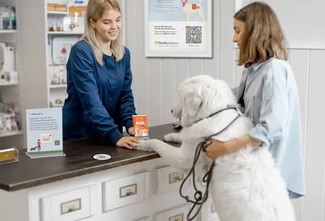How to Compare Pet Insurance Step by Step