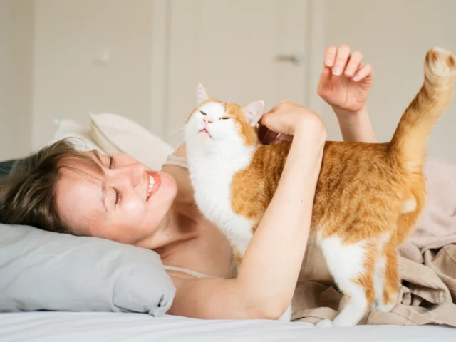 Why Is My Cat Meowing So Much? UK Guide